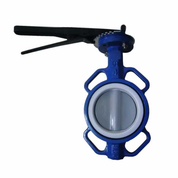 Wafer Butterfly Valve Disc Coated Nylon